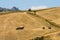 Work of two tractors in the fields in the north of Sicily with t