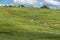 Work in Vineyards La Neuville-Aux-Larris