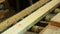 Work of the woodworking shop for the production of boards and glued beams