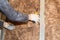 The worker attaches mineral wool to the walls for further plasterboard cladding. Thermal insulation and sound insulation of