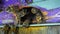 Worker bees arrive, enter and exit the entrance of an artificial hive, extreme close-up. Beekeeping