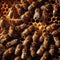 Worker bees storing honey in hive