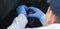 Worker in blue gloves is repairing car electrics