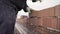 Worker builds a wall of colored brick. Worker in Close up of industrial bricklayer installing bricks and mortar cement brick on