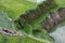 Worker caring Rice field terraces in philippines