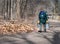 Worker carries buckets of maple sap