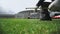 Worker checks lawn grass in a football stadium