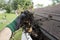 Worker Cleaning Gutters For A Customer