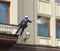 Worker cleaning windows service of Four Seasons Hotel Moscow in spring