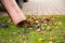 Worker clearing up the leaves