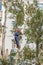 the worker climbed high on a tree and with the help of a chainsaw cut the branches of a tree