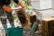 Worker Collect honey From the beekeeping farm