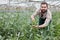 Worker controlling quality of legume plants