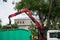 Worker with a crane on truck removing tree branches after cutting at the urban park in the street