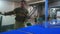 A worker cuts glass on a blue table and sets on the counter.Float glass.