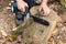 A worker cuts a tree branch with a portable cordless chainsaw