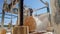 Worker Cutting Big Stone Into Marble Tiles In A Marble Factory