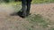 Worker cutting grass between the soil fields using string lawn trimmer