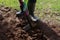 Worker digs soil with shovel in garden, agriculture concept. Boot on spade prepare for digging