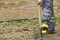 Worker digs soil with shovel in the vegetable garden