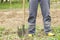 Worker digs soil with shovel in the vegetable garden