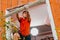 A worker dismantles an old window in the house with a crowbar