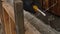 Worker dismantles the wooden formwork, new foundation for old house. worker cuts the metal wire with wire cutters