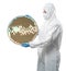 Worker or engineer wears medical protective suit or white coverall suit with silicon wafer