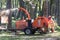 Worker feeding branches into a wood chipping machine in a woodland area