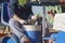 Worker feeding transplanter machine carousel. Tomatoes seedlings