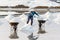 A worker fills wheelbarrows at the Hon Khoi salt fields in Nha T