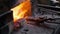 worker in forge tosses coal into furnace to heat iron. blacksmith in white cotton shirt and apron with fireproof gloves