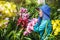 Worker gardener is taking care of the orchid flower in garden. Agriculture, orchid Plantation cultivation. Cymbidium Orchid