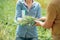 A worker gives sheaf of wheat to agronomist for analysis