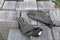 Worker gloves on concrete floor bricks