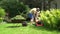 Worker guy shake pour grass from lawn mower bag into wheelbarrow. 4K