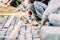 worker, handyman and construction worker installing cobblestone pavement on path, sidewalk or road