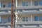 Worker hanging on ropes to painting of high buildingdin