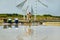 Worker Harvesting salt  in salt field