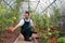 Worker harvests tomatoes in the greenhouse