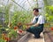 Worker harvests tomatoes in the greenhouse