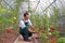 Worker harvests tomatoes in the greenhouse