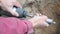 Worker inserting a core drill bit into perforator