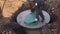 A worker installs a sewer manhole on a septic tank made of concrete rings. Construction of sewerage networks for country