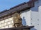 Worker insulates the walls of the house with plastic panels