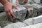 Worker laying paving stones