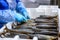 A worker lays down smoked mackerel. The fish lies in a heap in a white plastic box