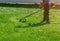 Worker man in protective pants mows the green grass on lawn with an autonomous grass mower