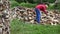 Worker man split log near wood pile in garden at summertime. 4K