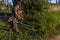 Worker, with a manual gasoline brush cutter, cuts the weeds that grew with the rains